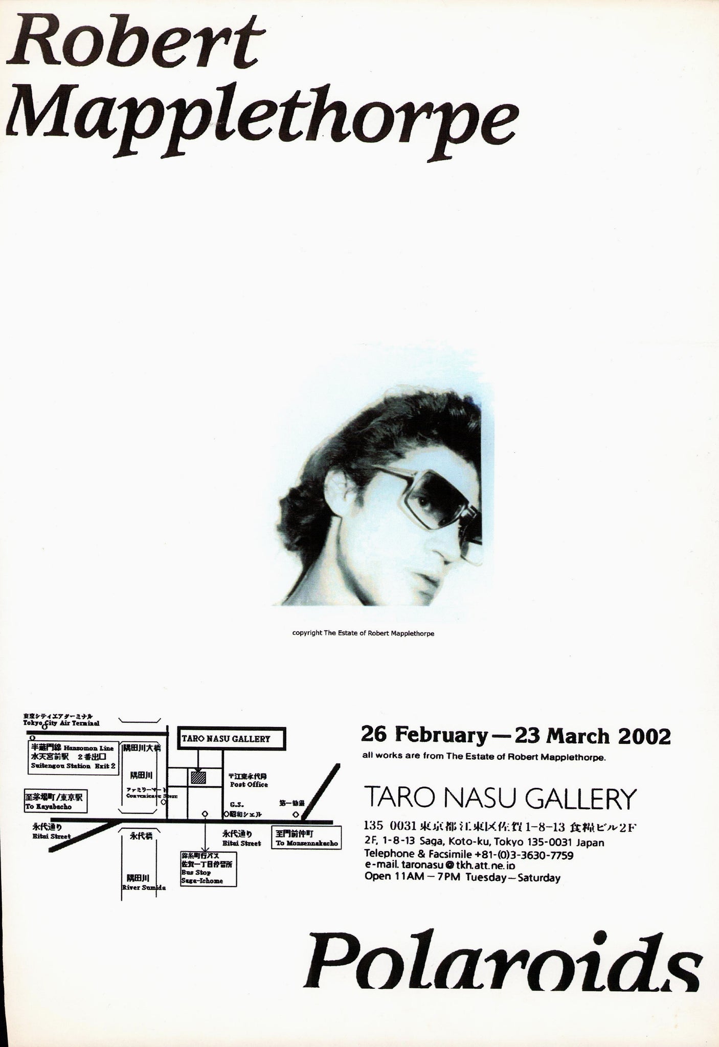 Polaroids - Robert Mapplethorpe Exhibition Flyer