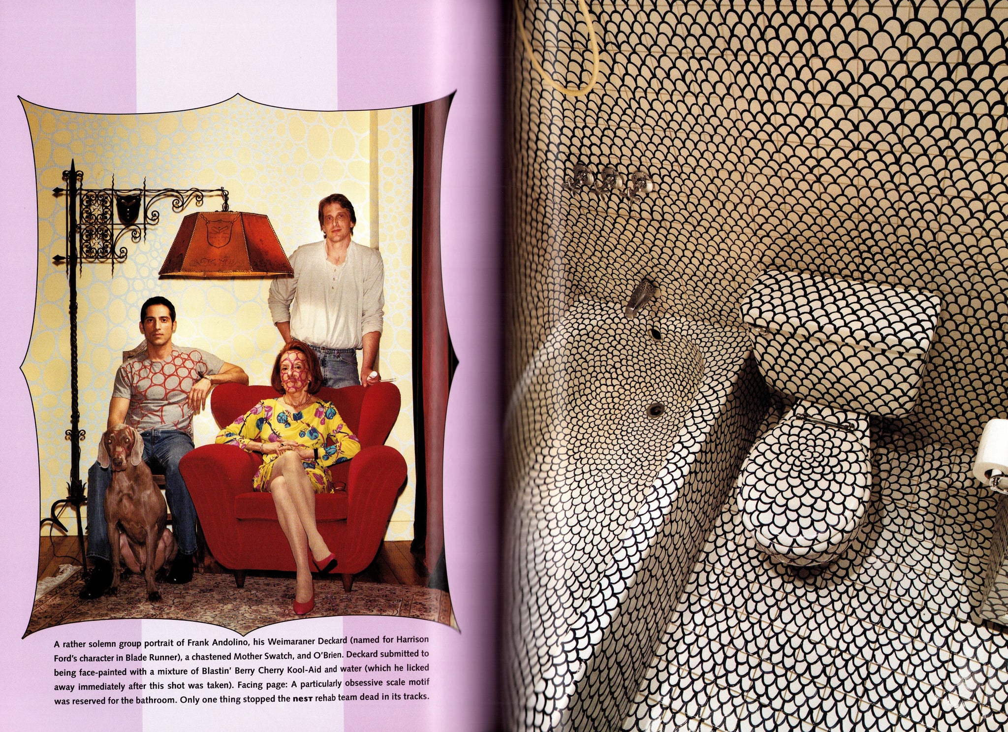 Nest Magazine 9