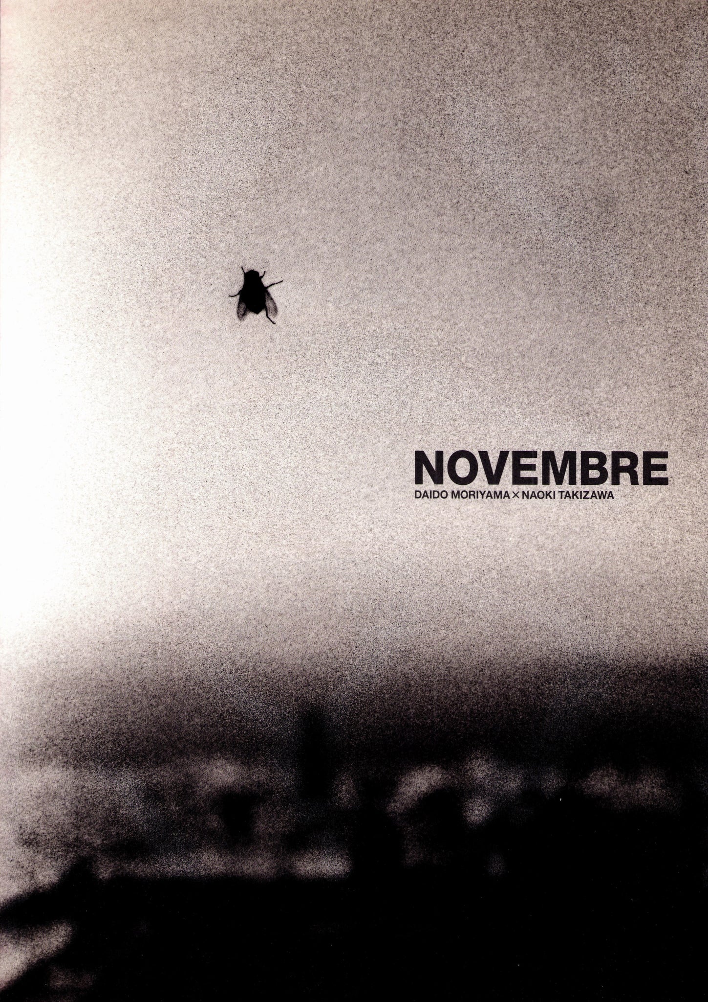 Novembre - Daido Moriyama & Naoki Takizawa