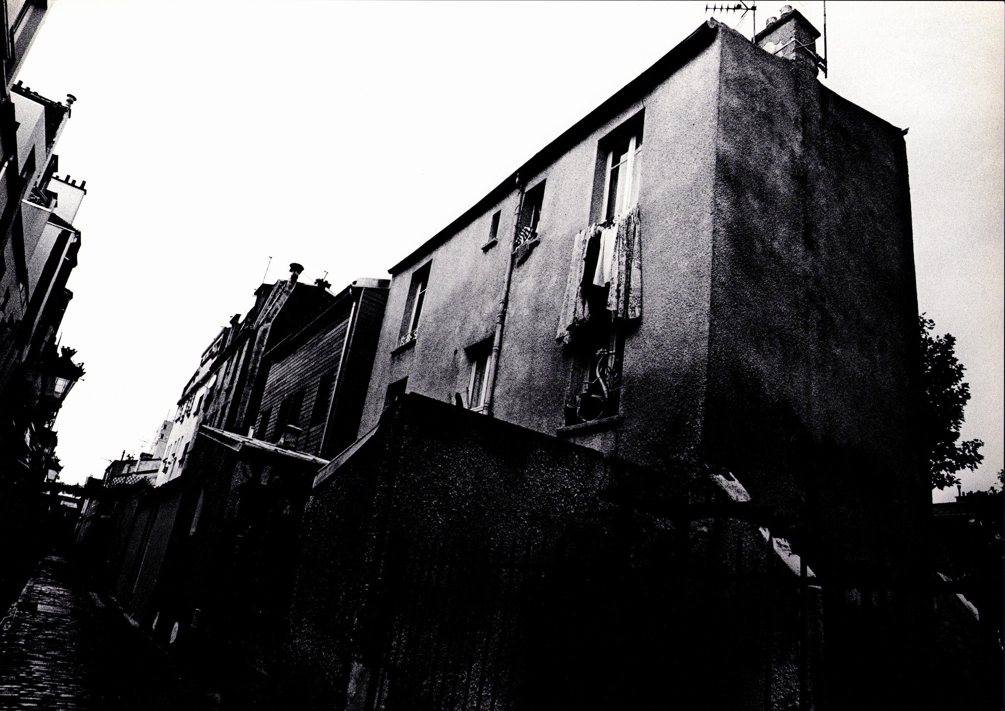 Novembre - Daido Moriyama & Naoki Takizawa