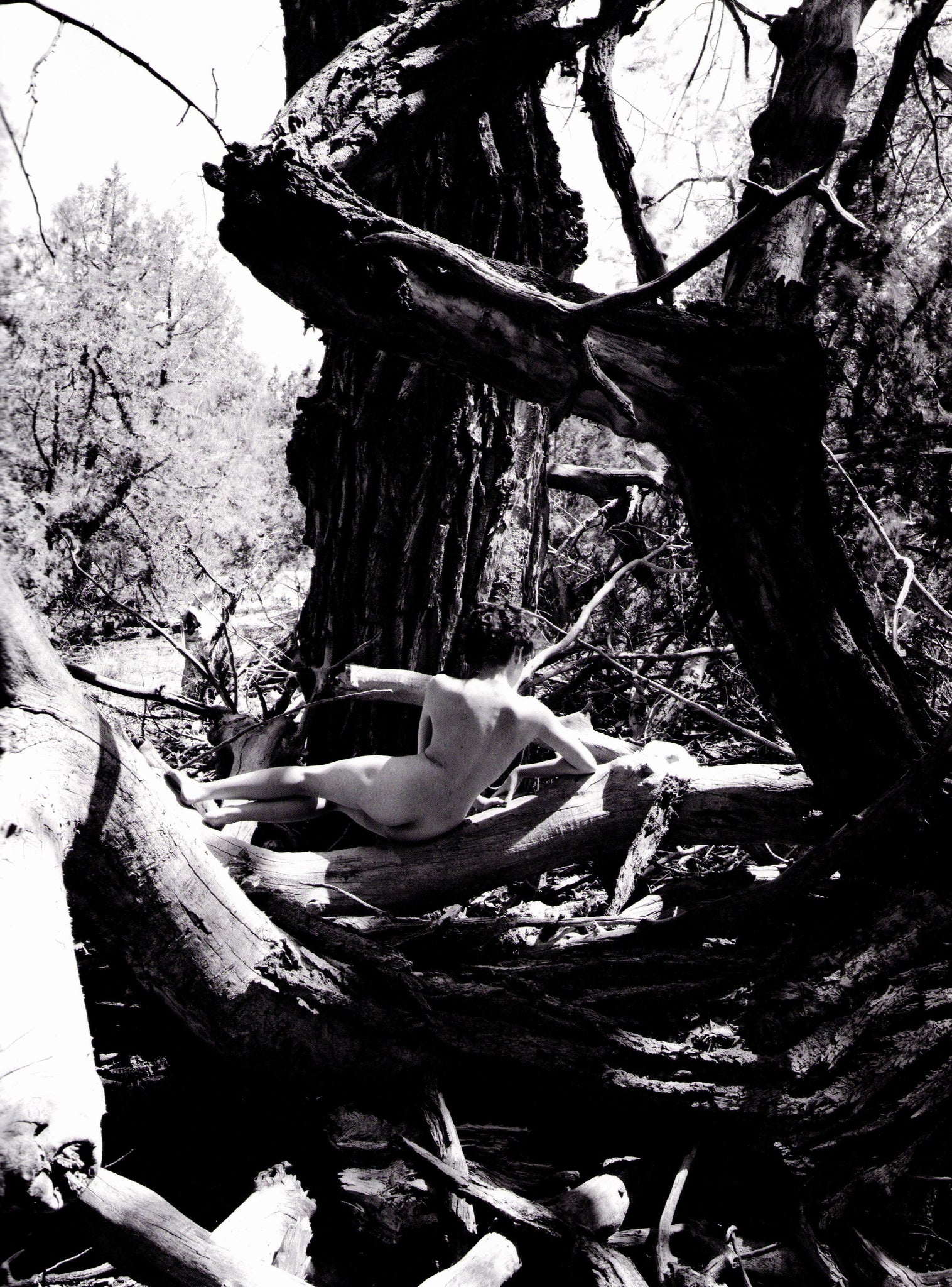 Sante Fe - Rie Miyazawa & Kishin Shinoyama