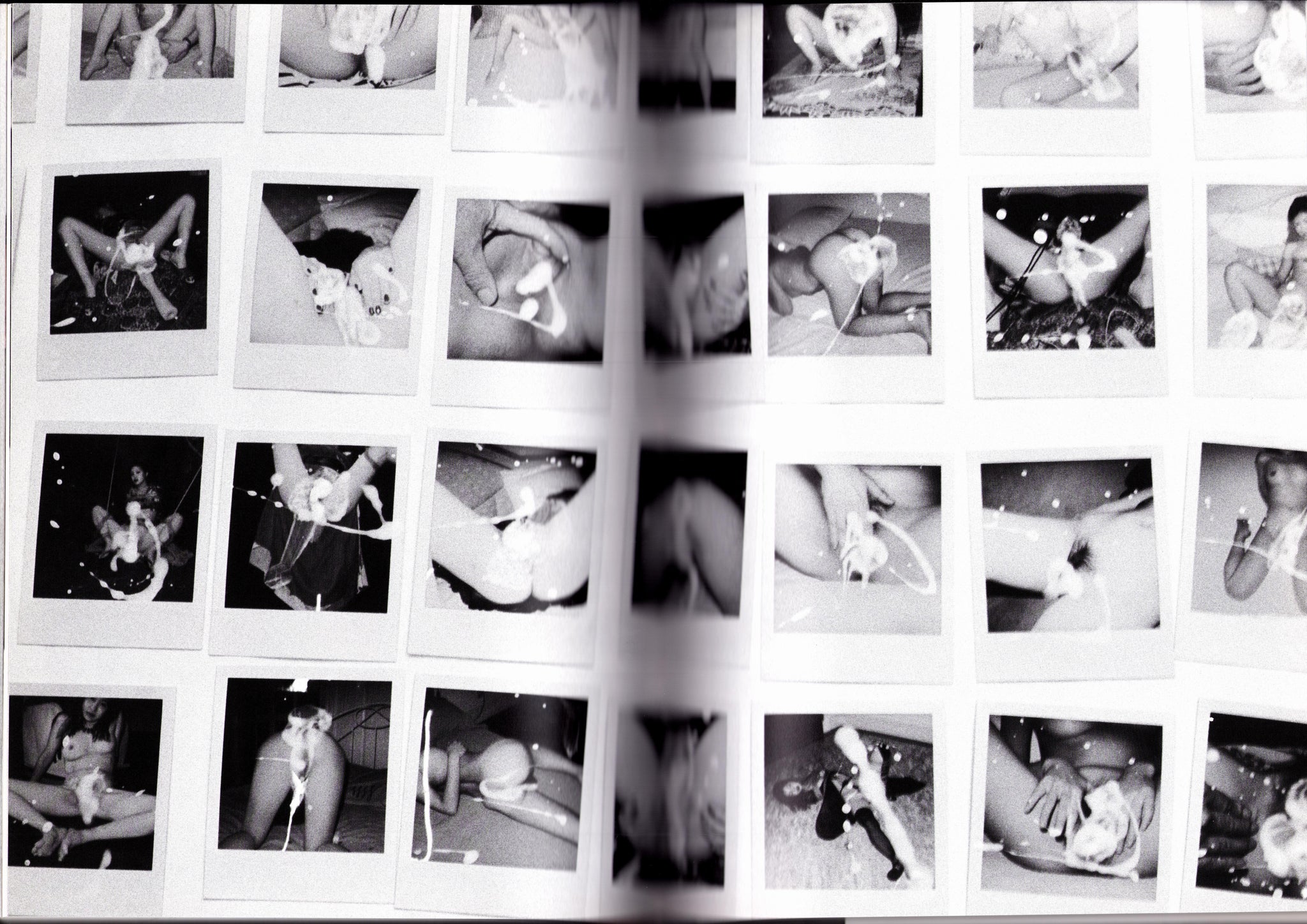 Araki Teller, Teller Araki (SIGNED)