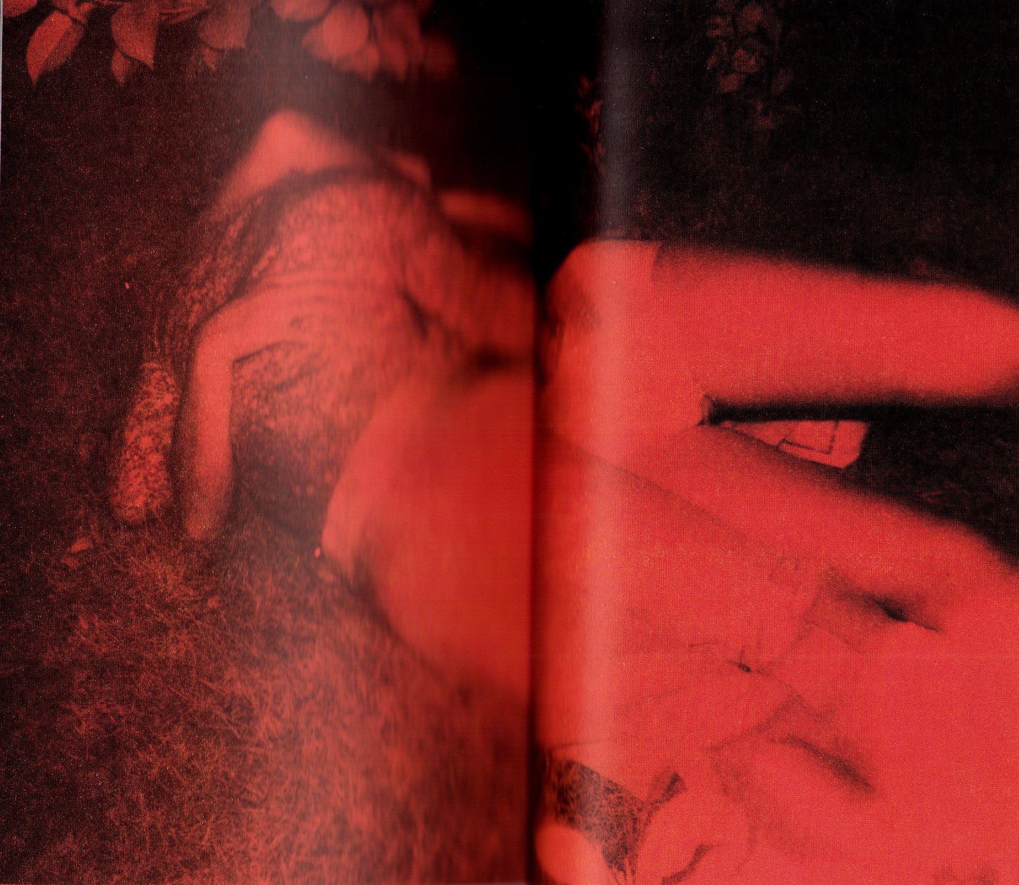 Secret Photography: This is Infrared! - Kohei Yoshiyuki