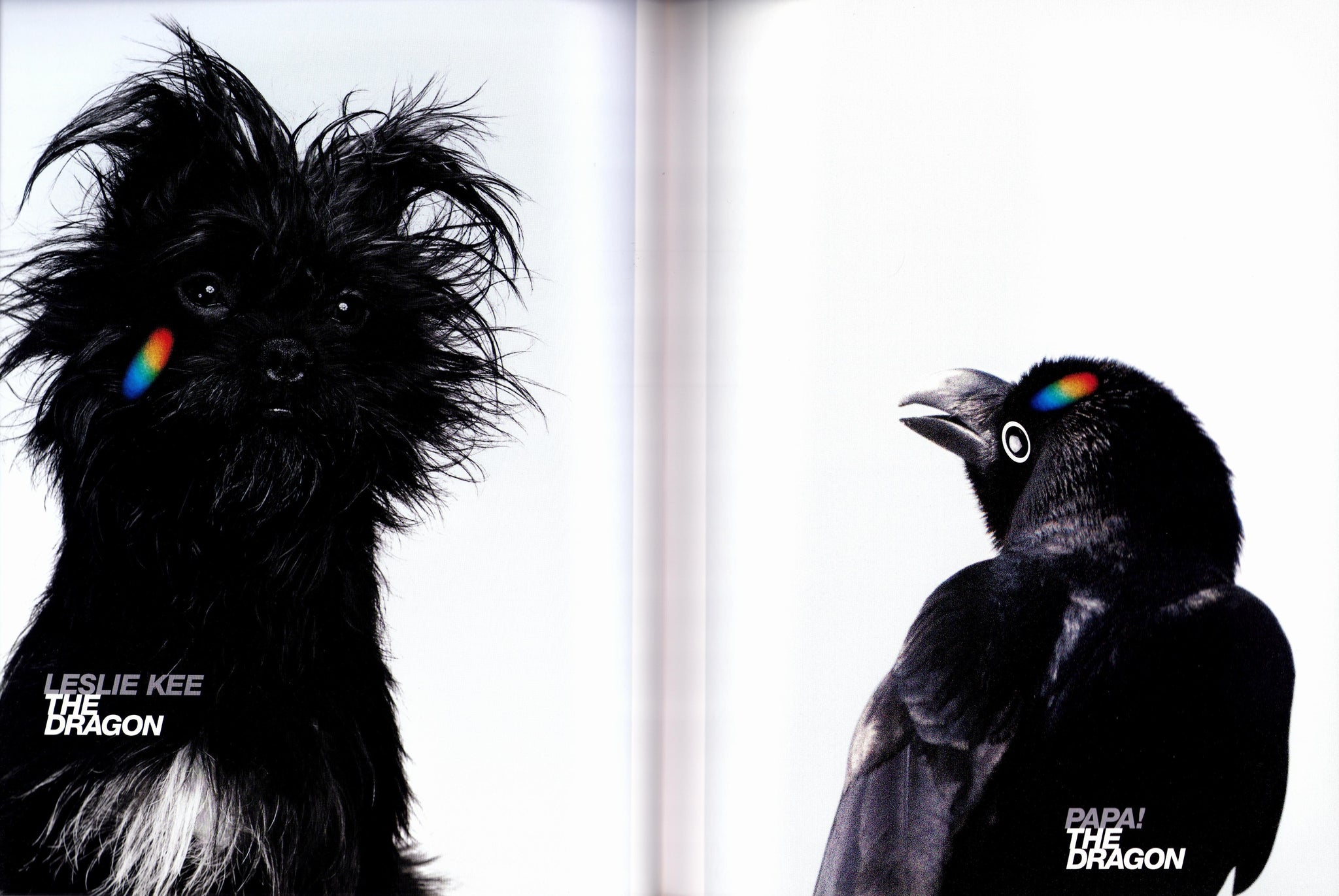 Inoue Tsuguya Graphics - Talking The Dragon