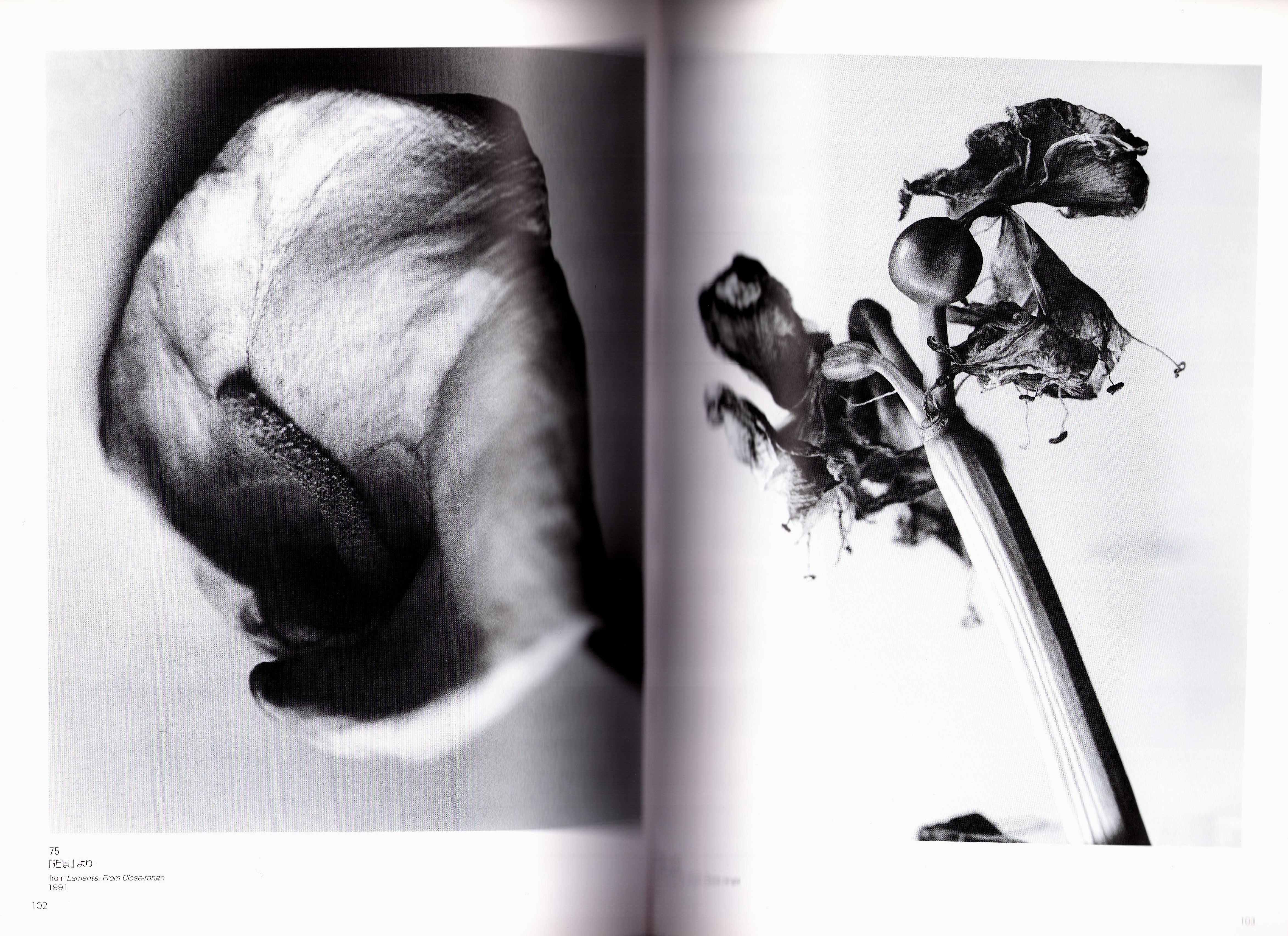 Promiscuous Flowers - Robert Mapplethorpe & Nobuyoshi Araki