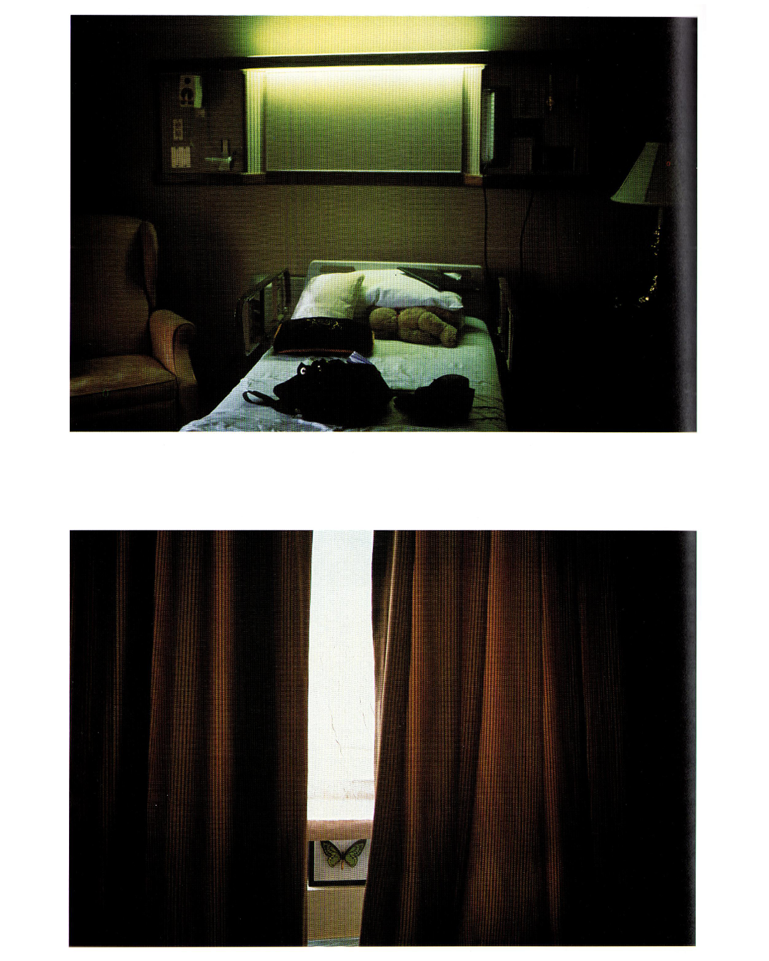 Nest Magazine 12