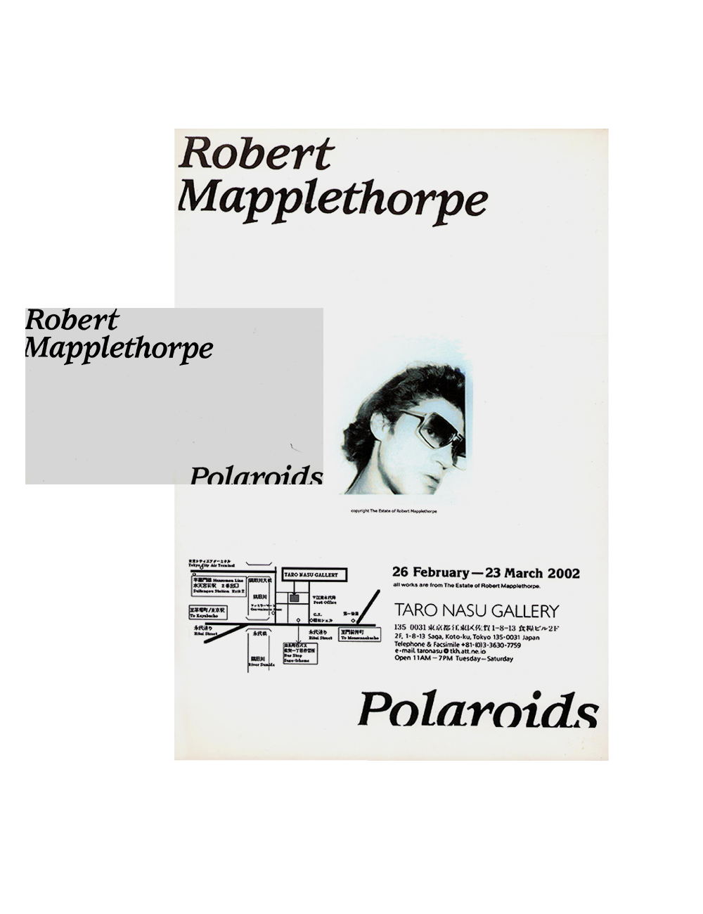 Polaroids - Robert Mapplethorpe Exhibition Flyer