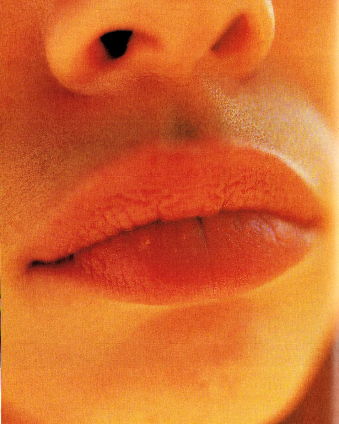 Switch Magazine - Fiona Apple