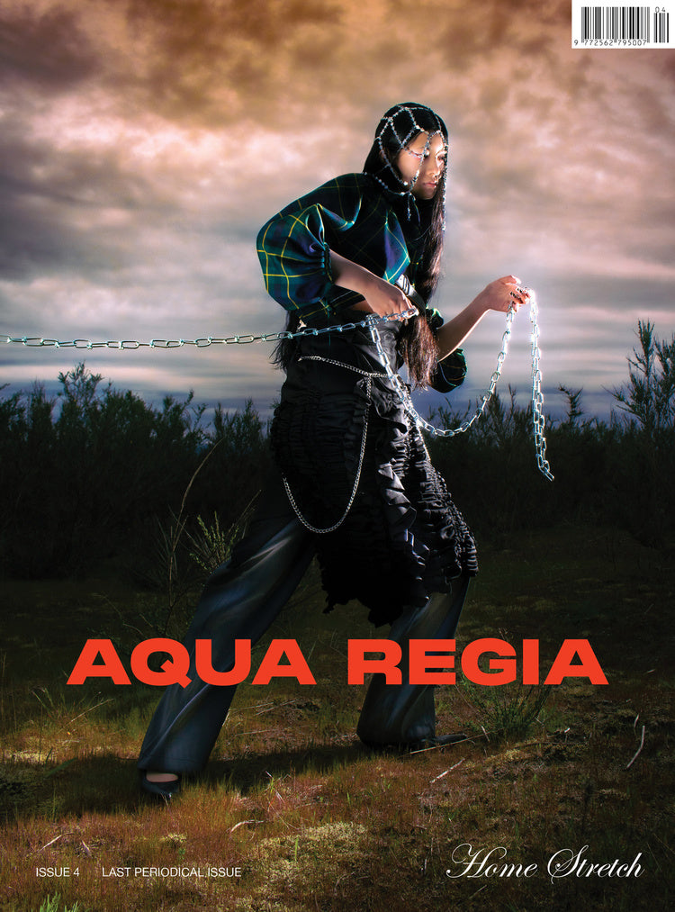 Aqua Regia #4 - Home Stretch