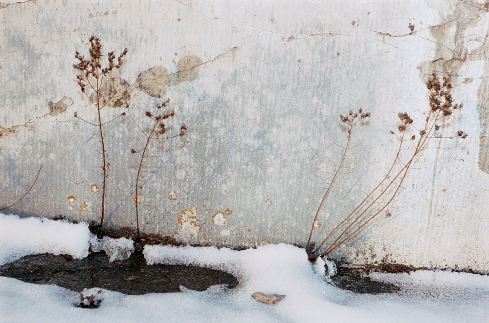 Nurnberg - Juergen Teller – Offbrand Library