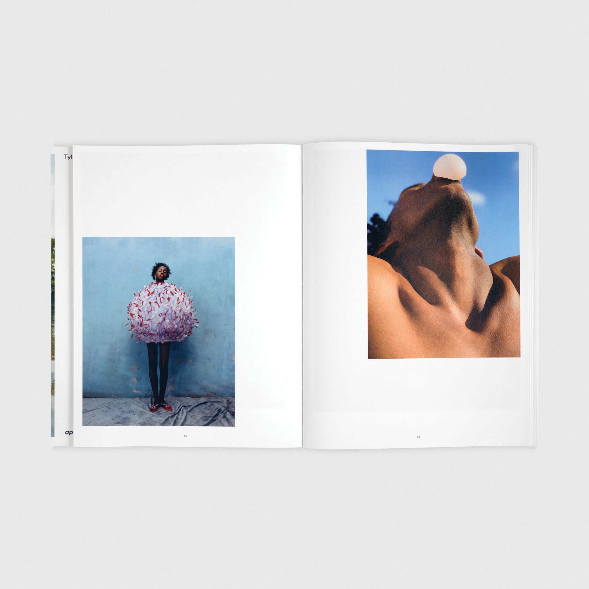 Wish This Was Real - Tyler Mitchell (SIGNED)