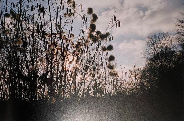 Sofia Coppola - Some Picture From This Past Year